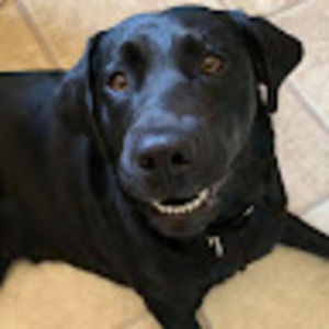 Meet your Posher, Fiona